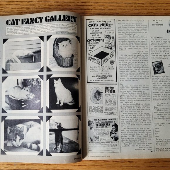 Vintage December 1973 Cat Fancy Photography, Hemingway Cats, - Picture 9 of 16